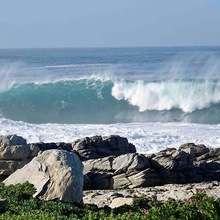 Willa Whales & Waves Hermanus Zewnętrze zdjęcie