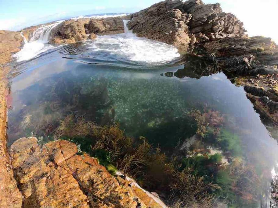 Willa Whales & Waves Hermanus Zewnętrze zdjęcie